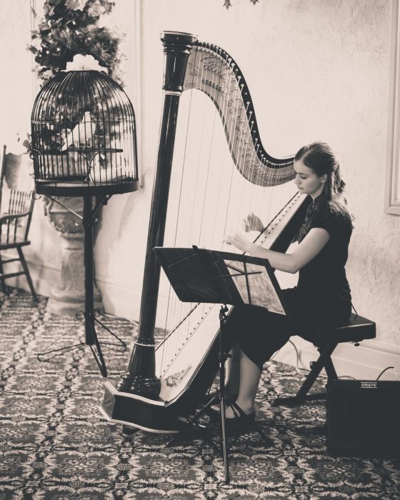 Allegra Bel Harp Wedding